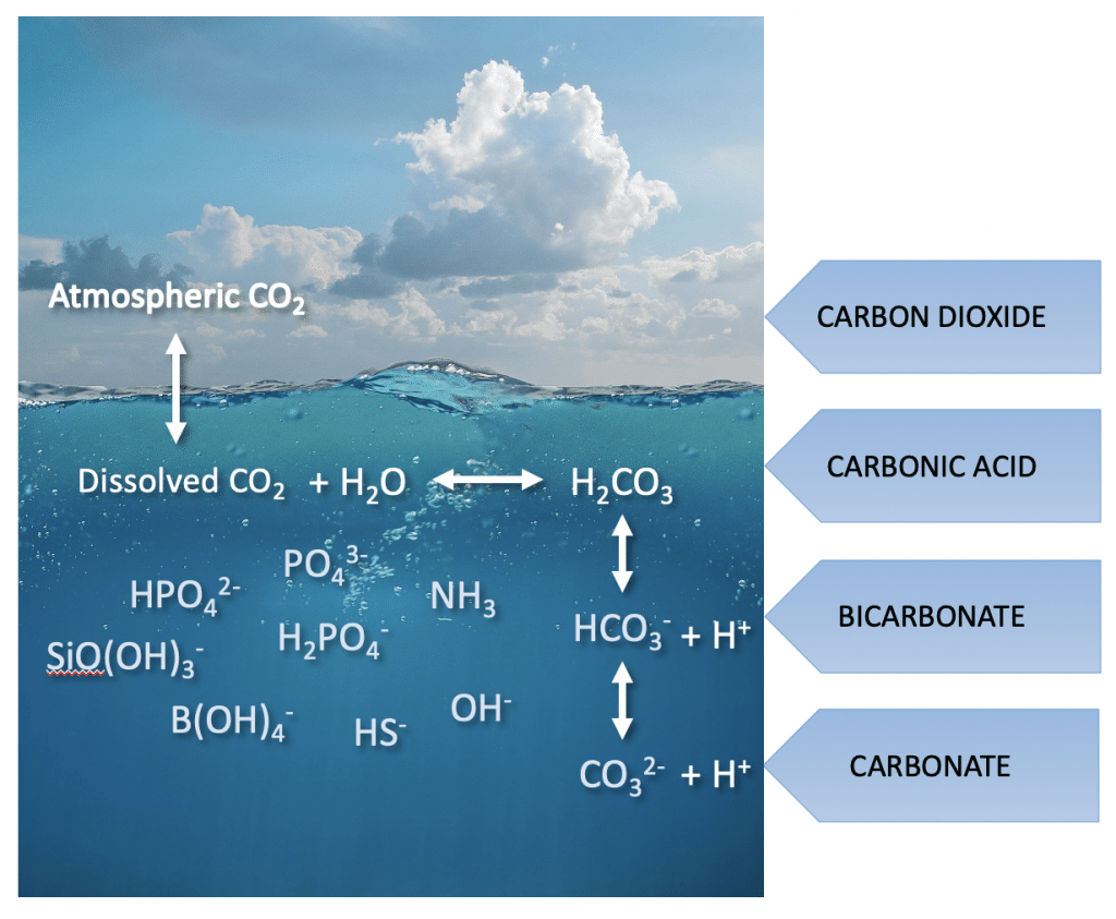 Ocean Alkalinity