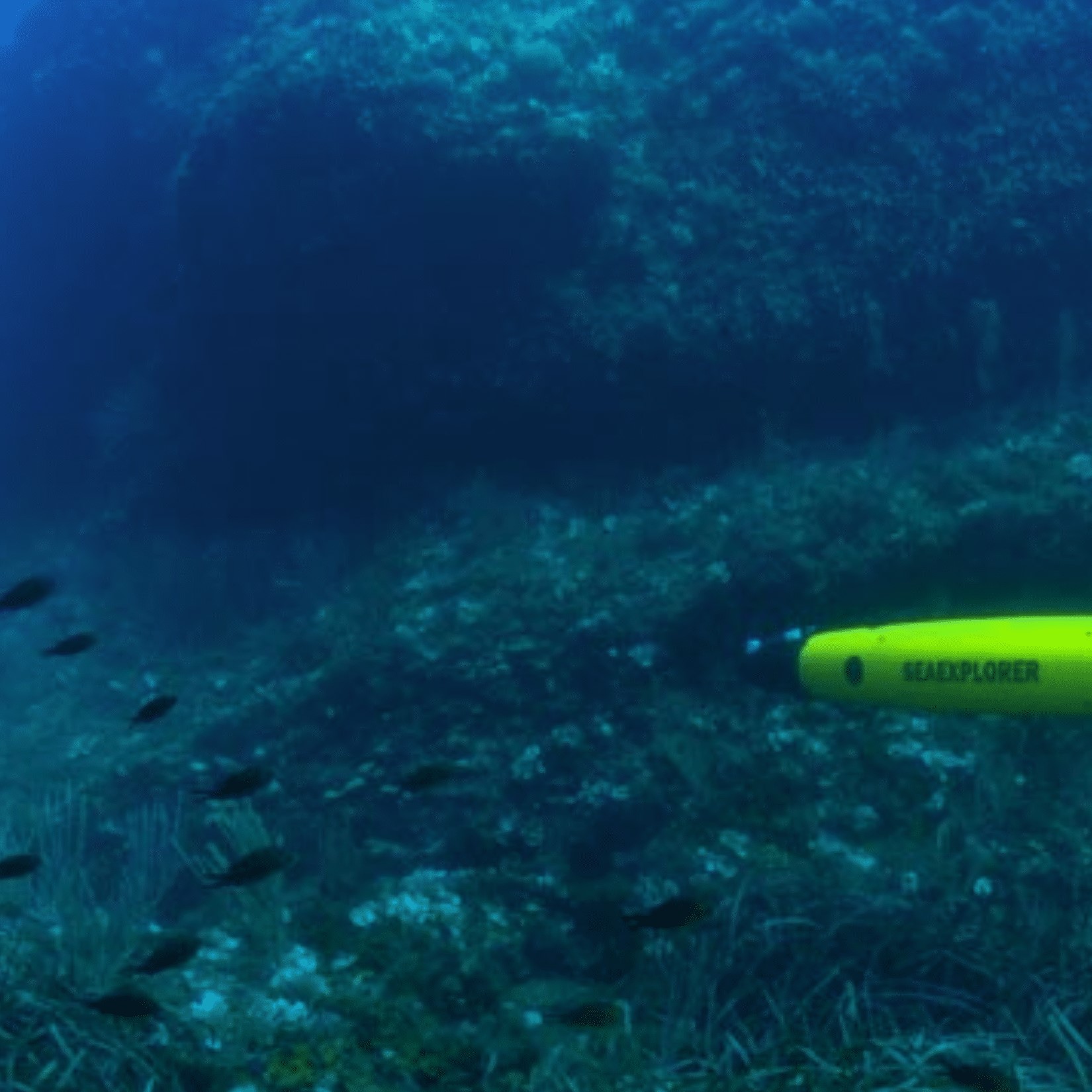 Custom subsea integration