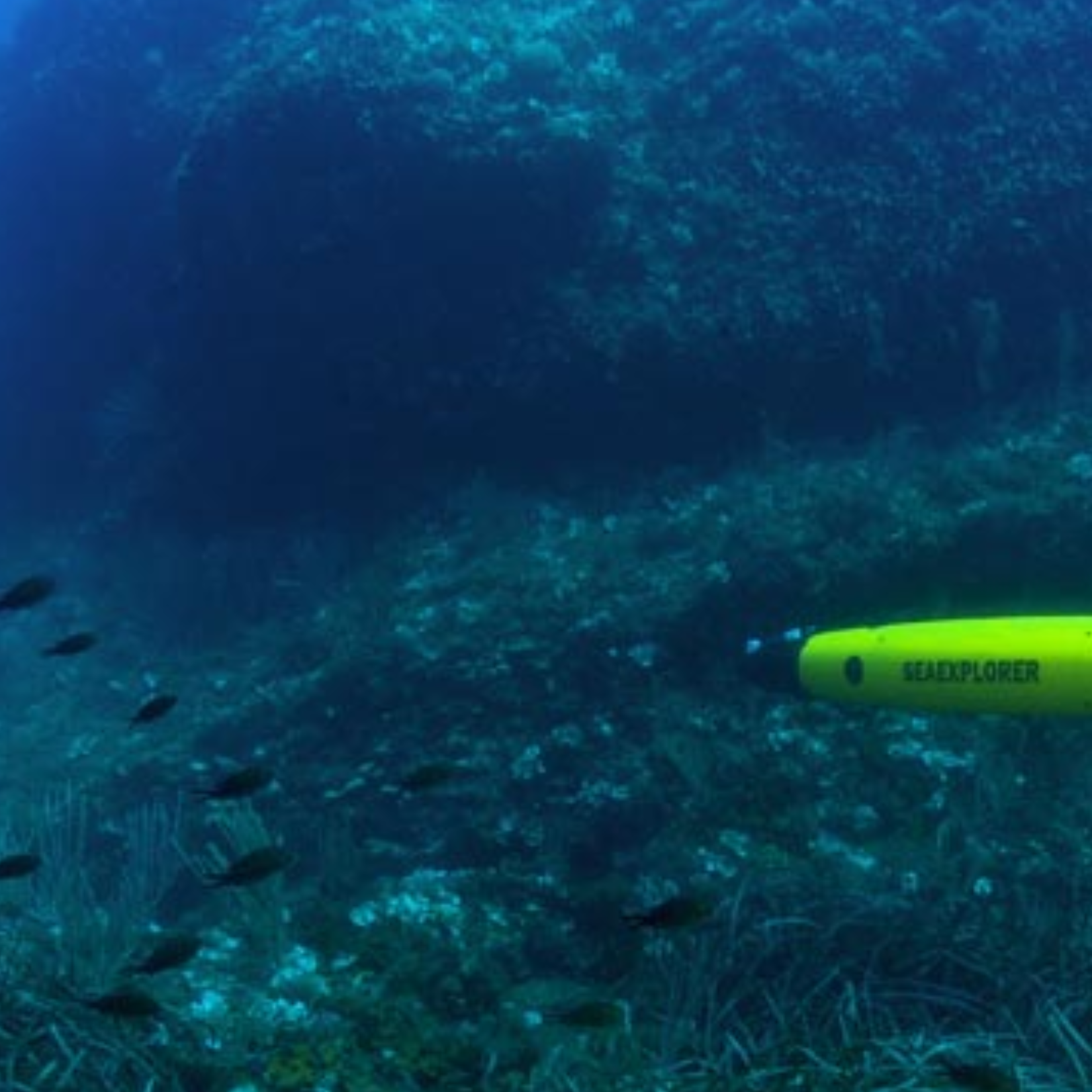 Subsea